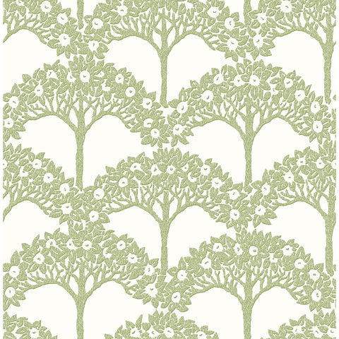 2970-26114 Dawson Green Magnolia Tree Wallpaper