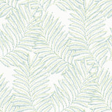 2973-90501 Finnley Green Inked Fern Wallpaper