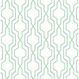 2973-90605 Rion Green Trellis Wallpaper