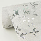 2976-86427 Arian Silver Abstract Wallpaper