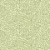  2999-55001 Anna Light Green Fern Trail Wallpaper