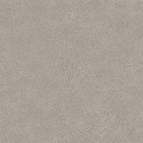 300512 Latigo Dove Faux Leather Wallpaper