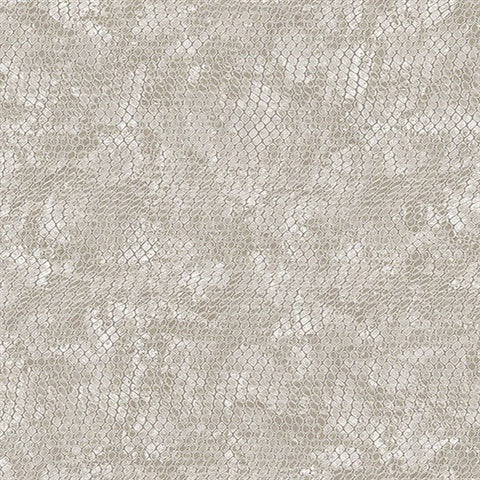 300520 Viper Taupe Faux Textured Snakeskin Wallpaper