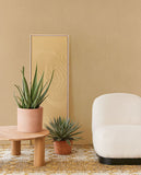 312433 Zen Garden Stripes Wallpaper