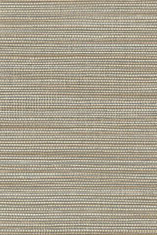 31503 Avalon Marsh Wallpaper