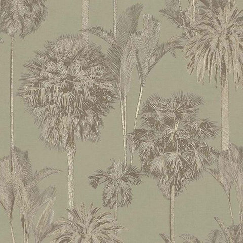 317324 Palm Botanical Jungle Trees Forest Vintage Wallpaper