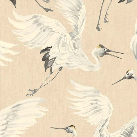317350 Birds Of Paradise Wallpaper