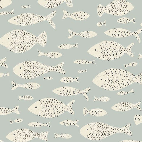 323004 Explore Animals Drift Shoal Wallpaper