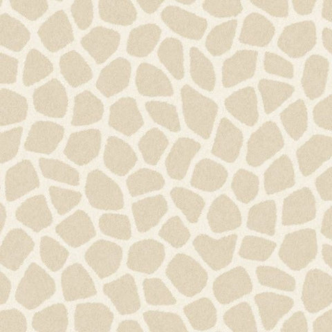 323030 Explore Savanna Pebbles Wallpaper