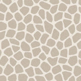 323031 Explore Savanna Pebbles Wallpaper