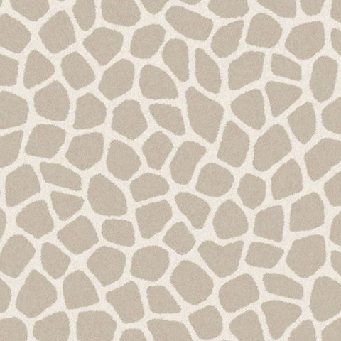 323031 Explore Savanna Pebbles Wallpaper
