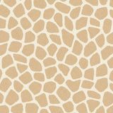 323032 Explore Savanna Pebbles Wallpaper