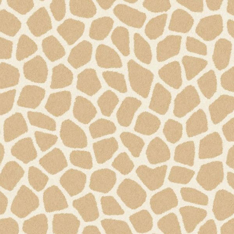 323032 Explore Savanna Pebbles Wallpaper