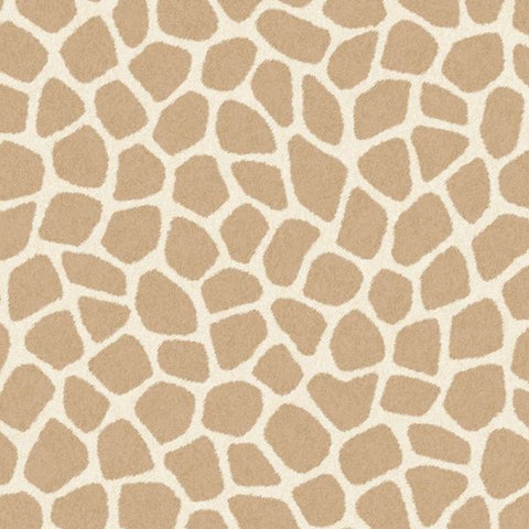 323033 Explore Savanna Pebbles Wallpaper 