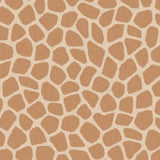 323034 Explore Savanna Pebbles Wallpaper