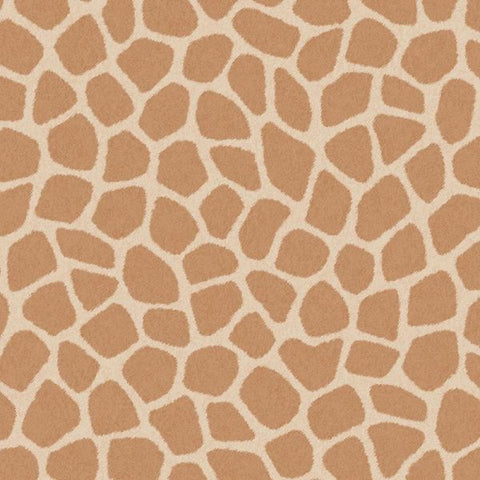 323034 Explore Savanna Pebbles Wallpaper