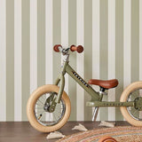 323042 Explore Stripe Fun Wallpaper 