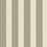 323042 Explore Stripe Fun Wallpaper 