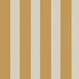 323044 Explore Stripe Fun Wallpaper