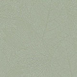 324045 Embrace Leaflet Wallpaper 