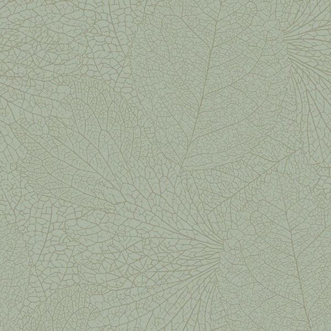 324045 Embrace Leaflet Wallpaper 