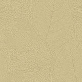 324046 Embrace Leaflet Wallpaper 