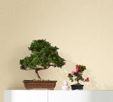 33327 Linen Beige Wallpaper Galerie Wallcoverings