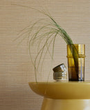 333280 Unify Plain Texture Wallpaper 