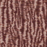333444 Wild Ikai Wallpaper