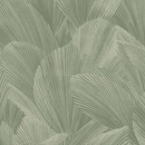 340125 Gildedr Licuala Wallpaper 