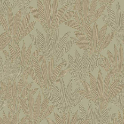 340151 Gildedr Ray Of Palms Wallpaper 
