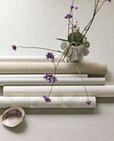 340310 Sensory Tortoise Wallpaper 