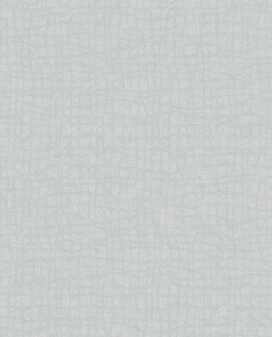 340310 Sensory Tortoise Wallpaper 