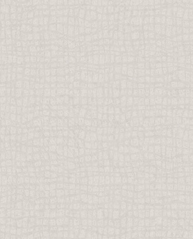 340311 Sensory Tortoise Wallpaper  
