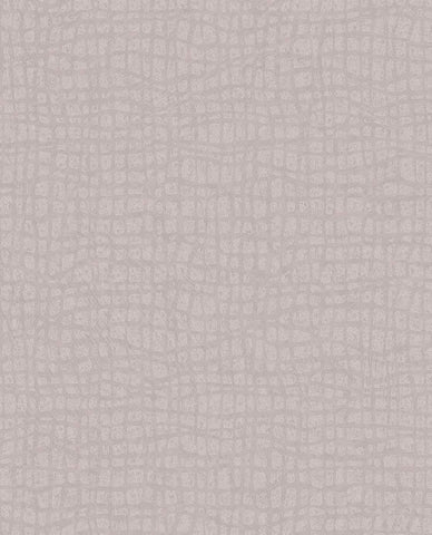 340312 Sensory Tortoise Wallpaper 