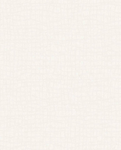 340313 Sensory Tortoise Wallpaper 