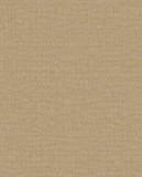 340314 Sensory Tortoise Wallpaper  