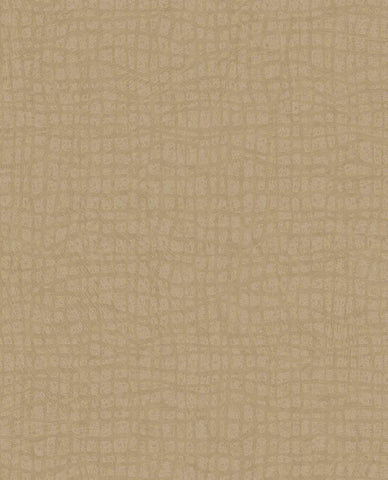 340314 Sensory Tortoise Wallpaper  