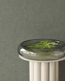 340315 Sensory Tortoise Wallpaper 