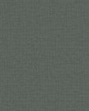 340315 Sensory Tortoise Wallpaper 