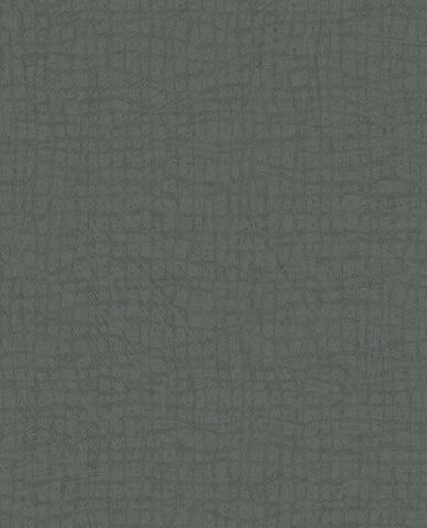340315 Sensory Tortoise Wallpaper 
