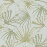 340511 Palm Weave Botanical Wallpaper