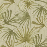 340513 Palm Weave Botanical Wallpaper 