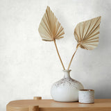 34184 Concrete Texture Light Grey Wallpaper Galerie Wallcoverings