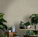 34601 Graphic Beige Wallpaper