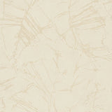 34616 Graphic Silver Grey Wallpaper