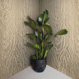 34922 Eclectic Gold Wallpaper 