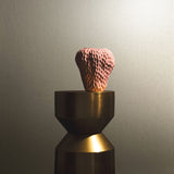 34948 Eclectic Beige Wallpaper