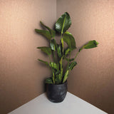 34949 Eclectic Orange Wallpaper