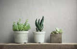 35137 Industrial Concrete Look Gray Wallpaper